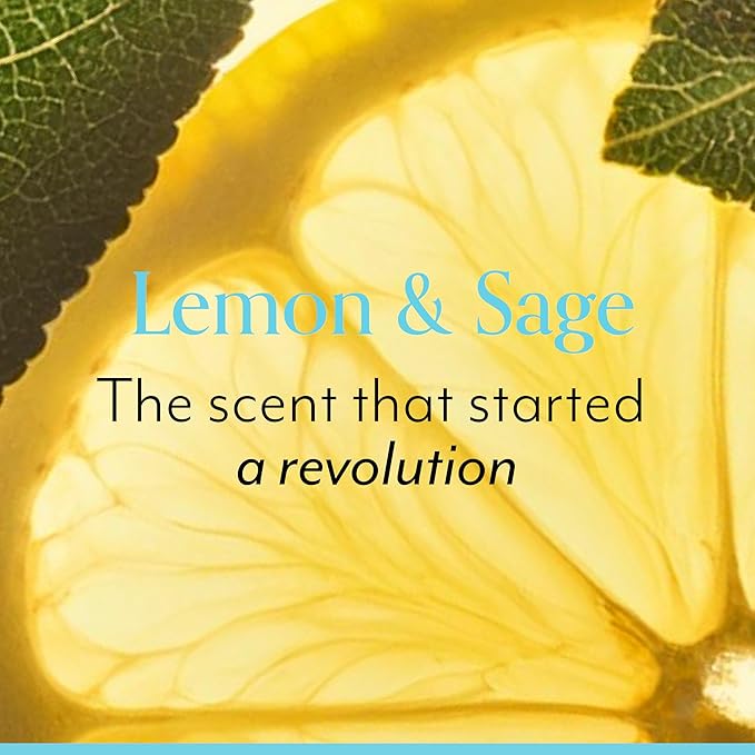 Bliss Lemon & Sage Luscious Hand Wash with Aloe – Hydrating, Refreshing Hand Soap with Coconut Oil & Vitamin B5 – Gently Cleanses Without Drying – 12.14 fl oz
