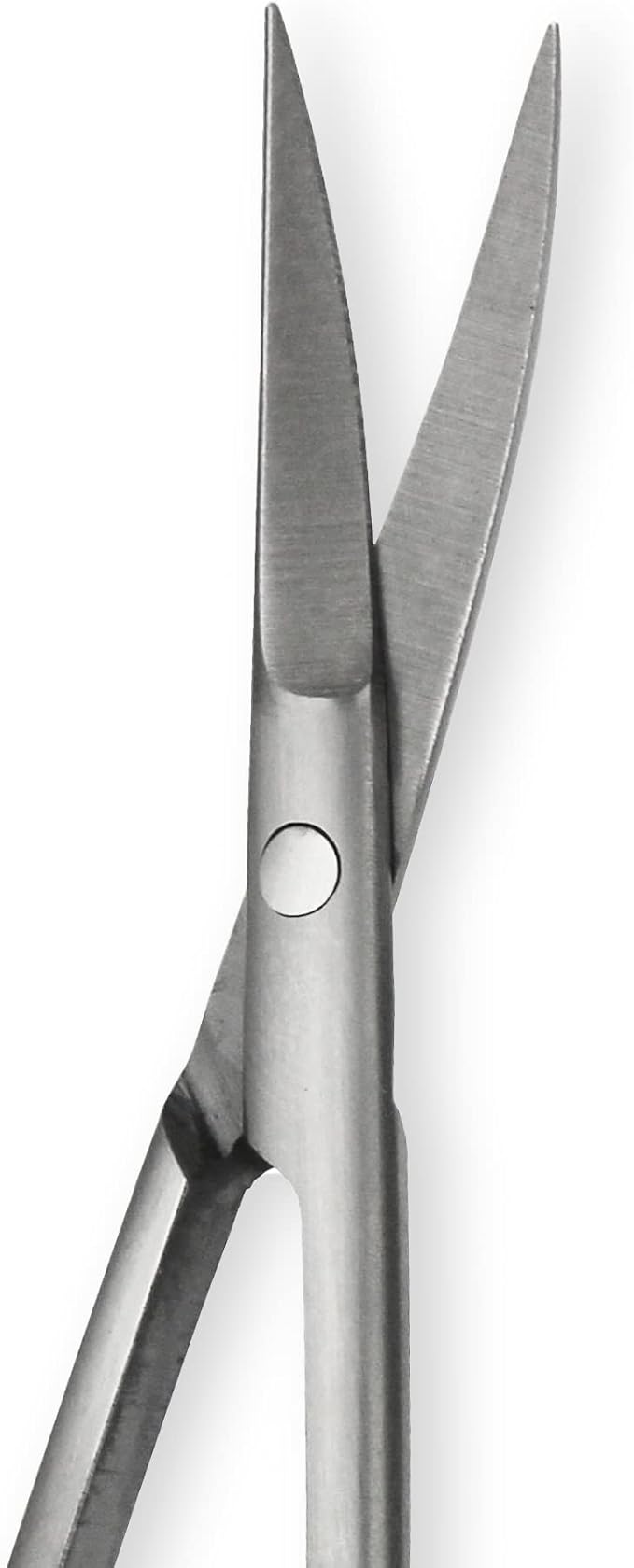 Amazon Basics Beauty Scissors, Stainless