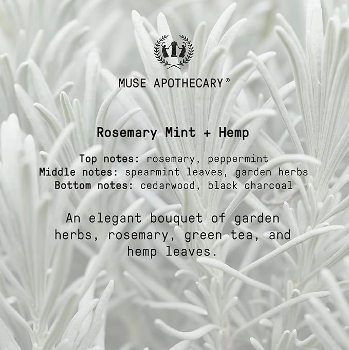 Muse Apothecary Hand Ritual - Aromatic 16 oz